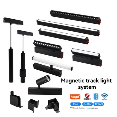 Zigbee Tuya Smart Control Magnetic Track Light 10W 20W Proiettore a LED