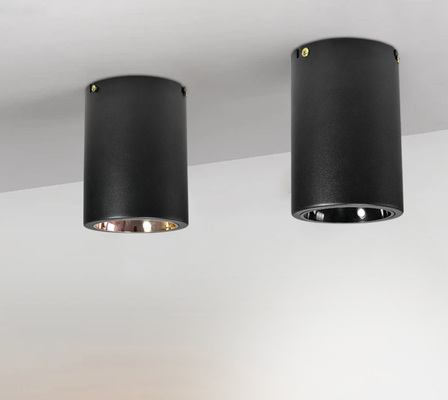 Il commutatore che della manopola il soffitto di superficie ha montato 2700K E27/pannocchia ha condotto Downlight