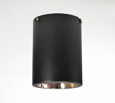 Il commutatore che della manopola il soffitto di superficie ha montato 2700K E27/pannocchia ha condotto Downlight