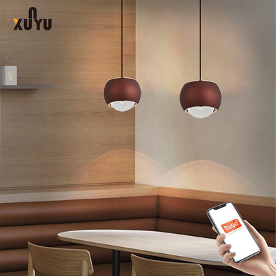 Lampade del pendente della sfera della luce 8W 6000K del pendente di XUNYU LED