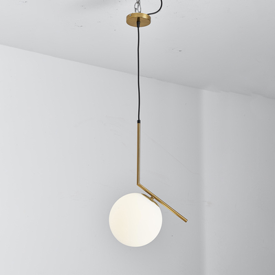 La singola testa decorativa ha condotto le plafoniere del pendente per l'hotel/casa