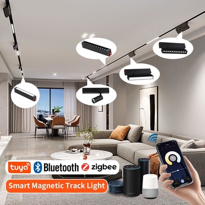 Salotto Domestico Senza Luce Principale Lampada Magnetica LED all'Ingrosso