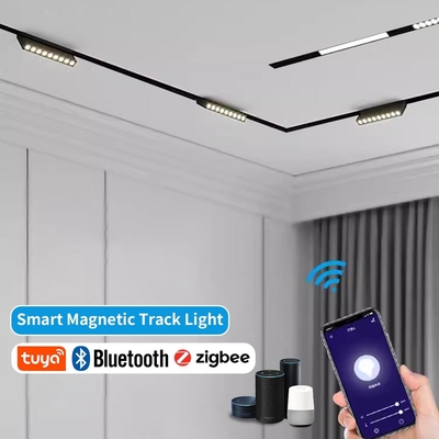 Smart Tuya 2.4G Telefono cellulare controllato LED Magnetico luce di alluvione Spotlight